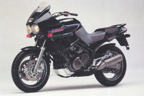 Yamaha TDM 850 1992 - 1995