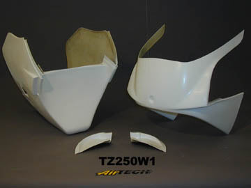 TZ250W1